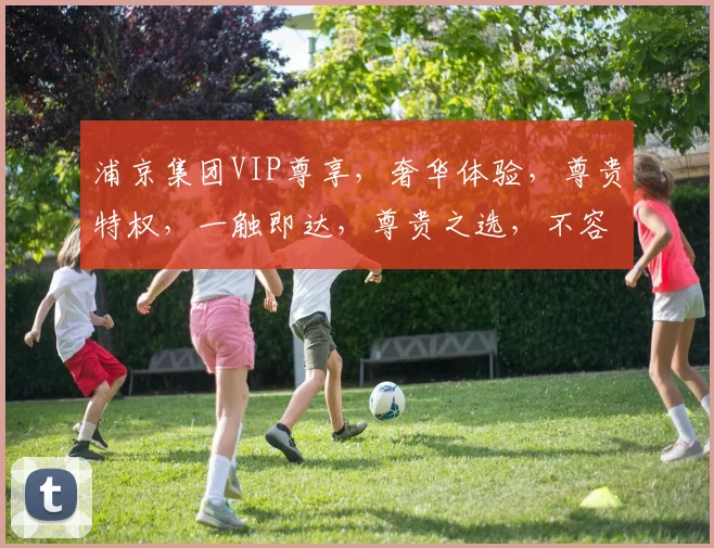 浦京集团VIP尊享，奢华体验，尊贵特权，一触即达，尊贵之选，不容错过