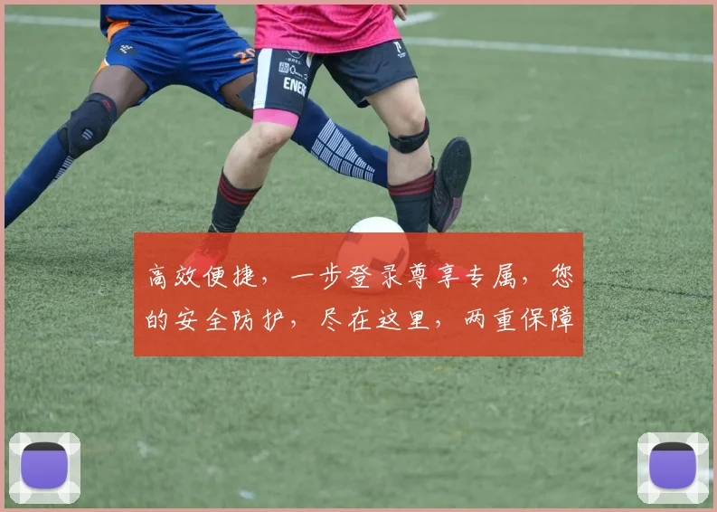 高效便捷，一步登录尊享专属，您的安全防护，尽在这里，两重保障，不容错过