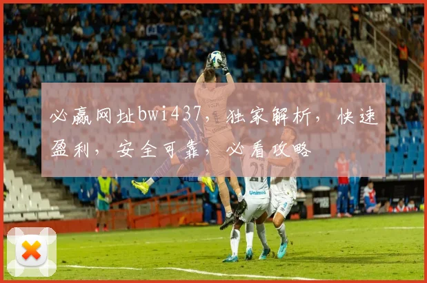 必赢网址bwi437，独家解析，快速盈利，安全可靠，必看攻略