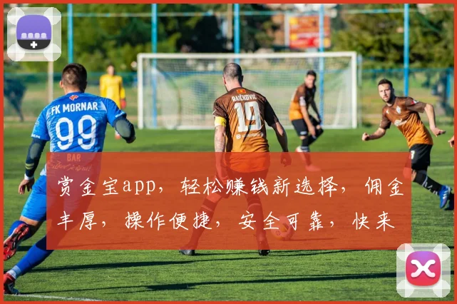 赏金宝app，轻松赚钱新选择，佣金丰厚，操作便捷，安全可靠，快来体验